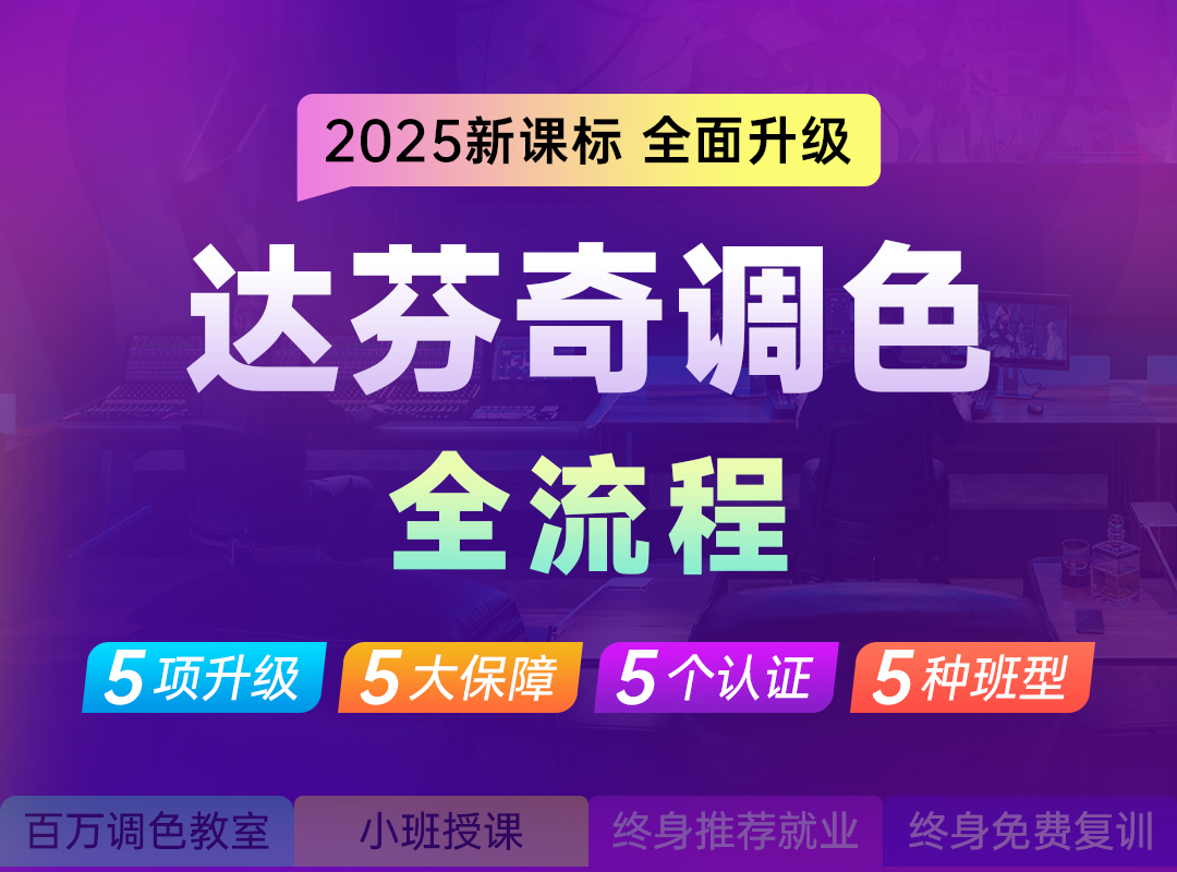 达芬奇全流程